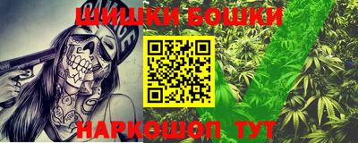 крисы Кунгур