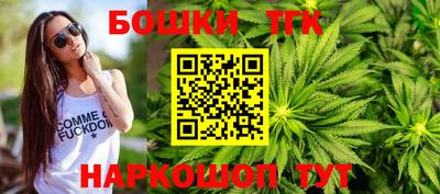 крисы Кунгур