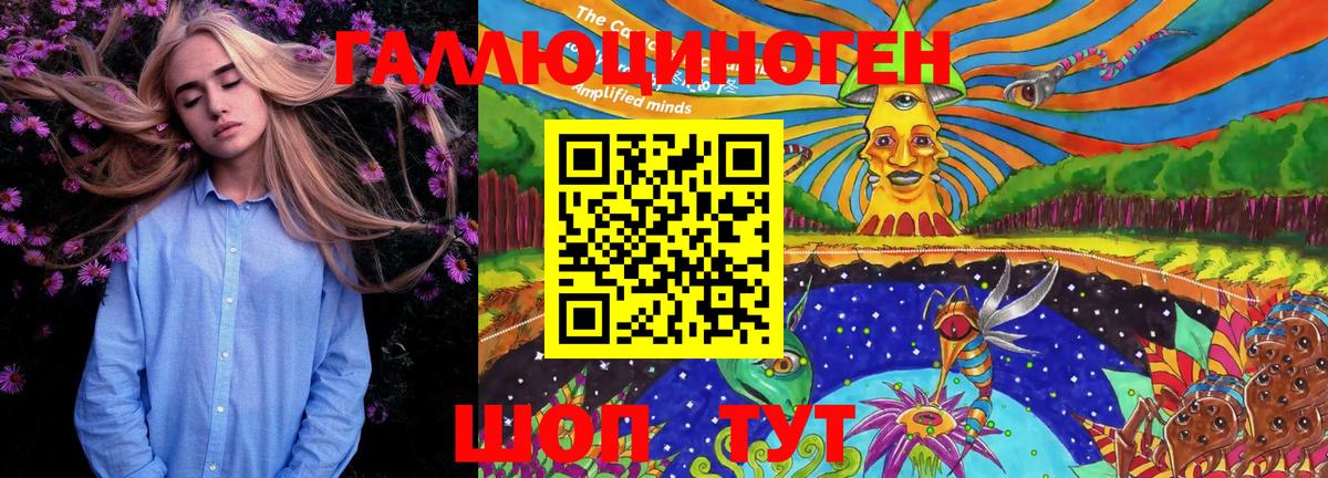 Галлюциногенные грибы Psilocybe Киров